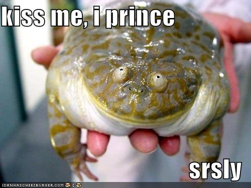 funny-pictures-frog-prince-kiss.jpg